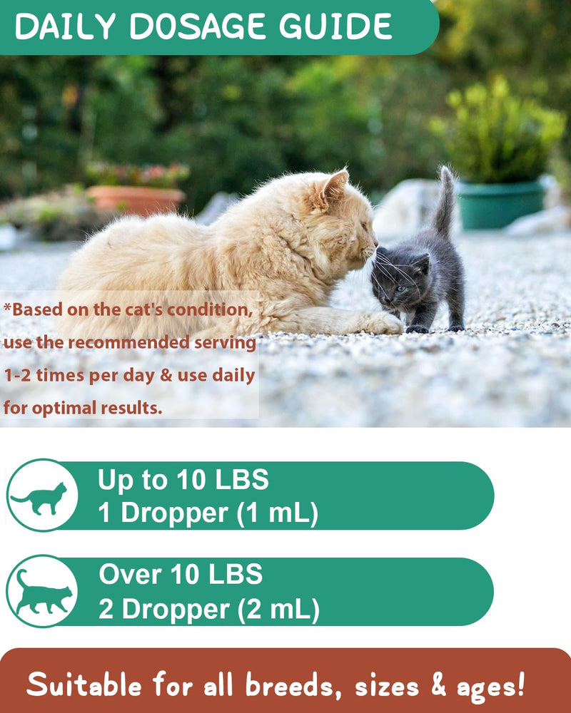 SANTKOL Anti-Hairball Cat | Dissolving Hairballs Cat | Promotes elimination of hairballs | Supports the cat's intestines and healthy digestion With cat grass, inulin, probiotics, vitamins - BeesActive Australia