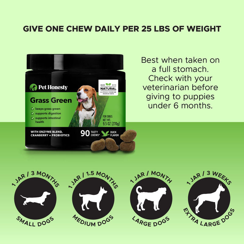 Flea & Tick Support + Grass Green Virtual Bundle - Natural Flea and Tick Soft Chew for Dogs, Pest Defense, Oral Flea Pills for Dog, Itch Relief, Digestive Enzyme for Dogs, Dog Pee Grass Lawn Spot S