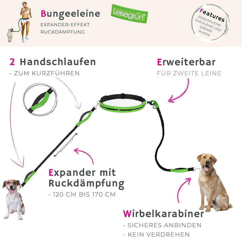 Quiet green jogging leash for small dogs up to 10 kg | Freehand leash for jogging with waist belt | 135cm to 185cm | Black Set Jogging Leash - Small Dogs - BeesActive Australia