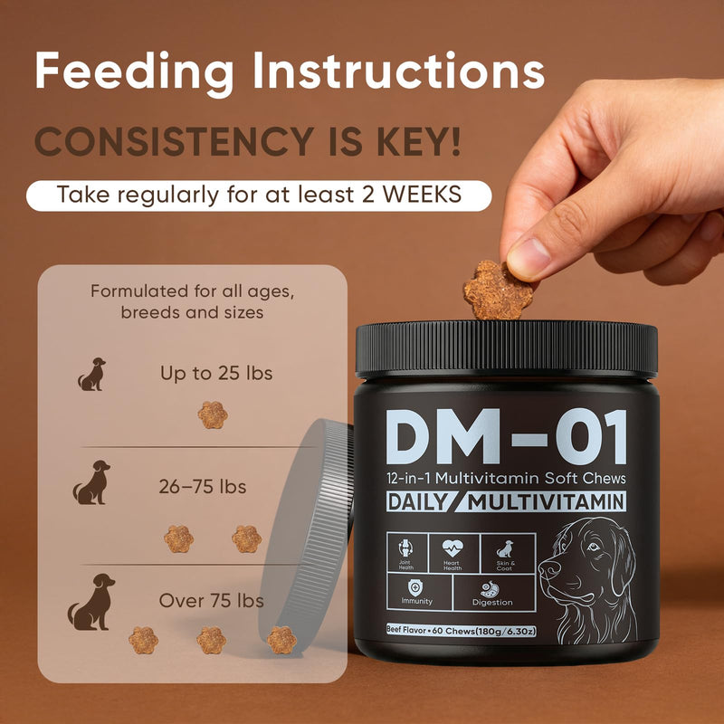 Daily Multivitamin for Dogs, Multivitamin Itch Relief Chews with Folic Acid, Salmon Oil, Probiotics & Vitamins, Skin and Coat Healthy, Gut Health & Boost Immunity, Beef Flavor, 60 Chew (1) 1
