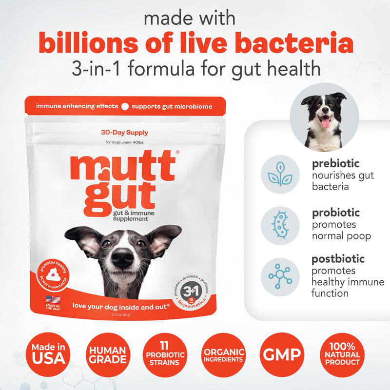 All-Natural 3-in-1 Dog Probiotic, Prebiotic, and Postbiotic Supplement Powder - Probiotics for Dogs with 135 Billion CFUs, Anti Diarrhea, Digestive Enzymes & Antioxidants (60g) 60g