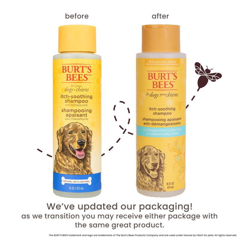 Burt's Bees for Pets Itch Soothing Shampoo with Honeysuckle, 95% Natural Origin Formulas, Dog Shampoo for Itchy Dogs, Dog Shampoo Itchy Skin Relief, 16 oz Unscented 16 Fl Oz (Pack of 1) - PawsPlanet Australia