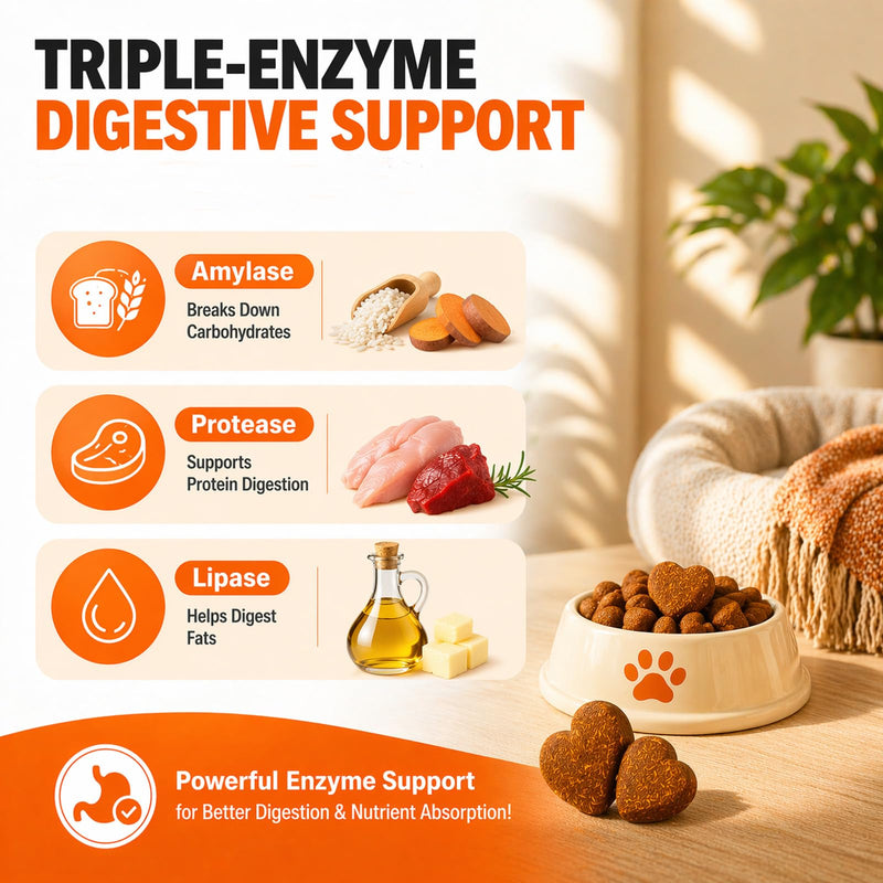 Pancreatic Enzymes for Dogs – 10X Pancreatin Digestive Enzyme Chews for EPI Support, Supports Digestive Stress, Pancreatic Issues & Healthy Weight Management – 150 Chews