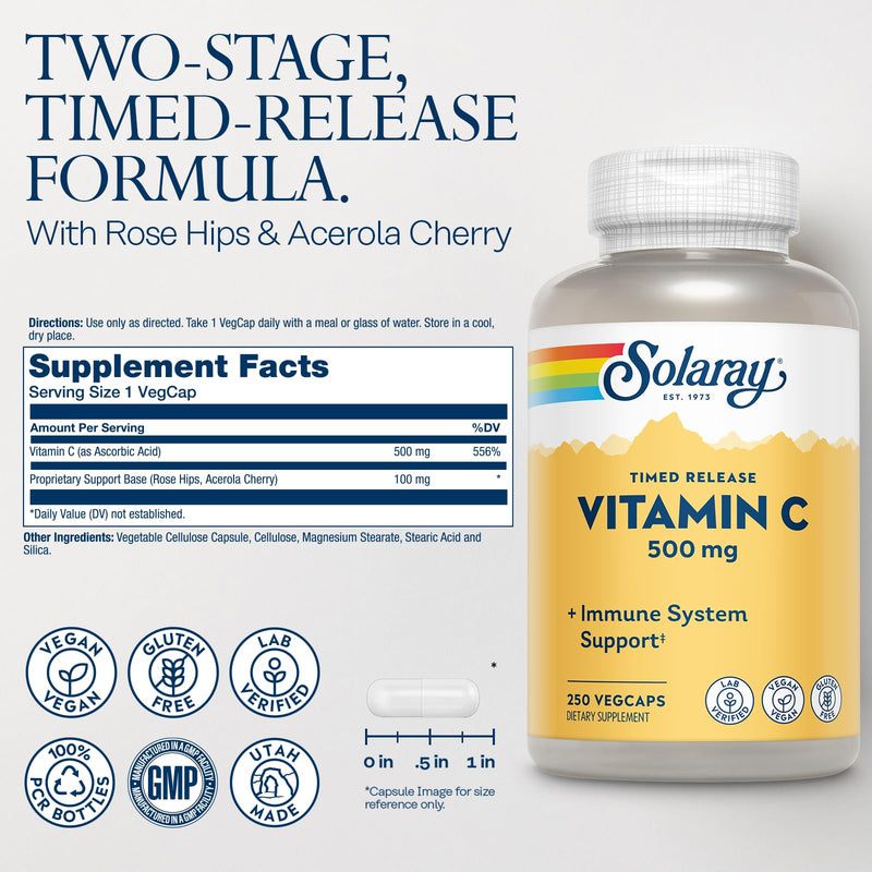 SOLARAY Vitamin C 500 mg Two-Stage Timed-Release, 250 VegCaps | Immune, Antioxidant & Collagen Support - All-Day Support with Rose Hips & Acerola - 250 Servings - Vegan, Gluten Free 250 Count (Pack of 1)