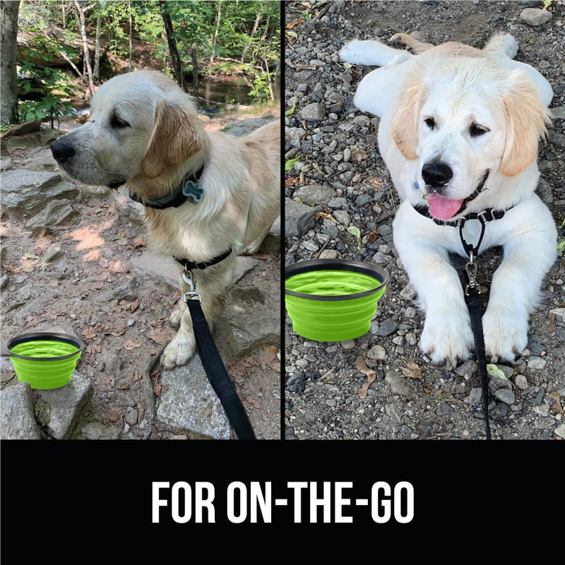 Gorilla Grip Collapsible Dog Bowl, Silicone Set of 2 Travel Bowls with Carabiner, Foldable and Portable Accessories for Cat and Dogs, Small Pet Hiking Supplies, Food and Water, 1 Cup, Royal Blue/Green Royal Blue Green - BeesActive Australia