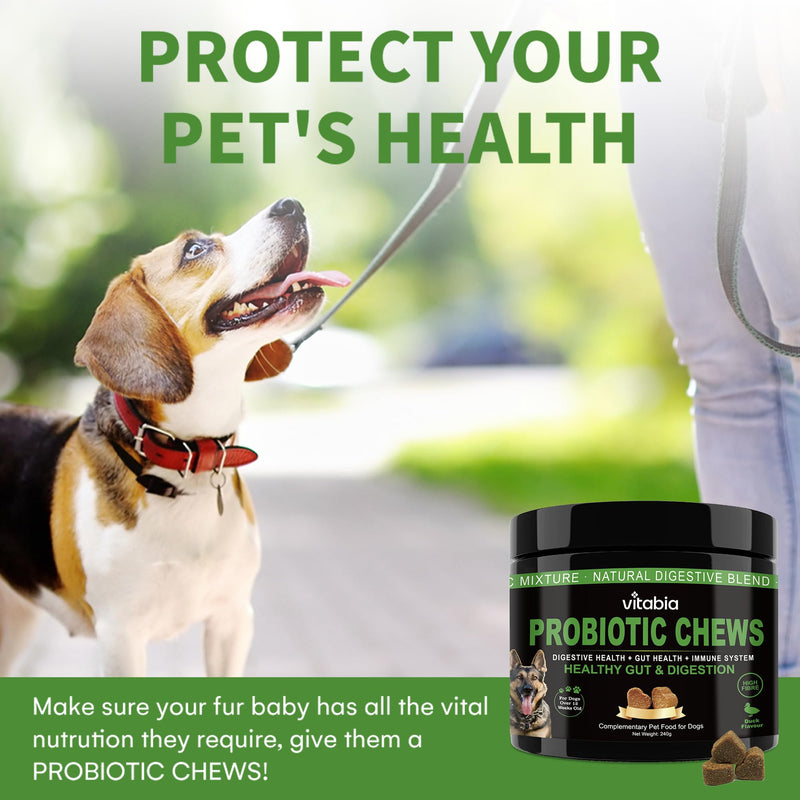 Probiotics for Dogs with Prebiotic Fiber - Dog Probiotics Gut Health Chews for Digestion, Anal Gland Care & Skin Support with Pumpkin & Psyllium Husk - Dog Supplements Duck Flavour (120 Count)