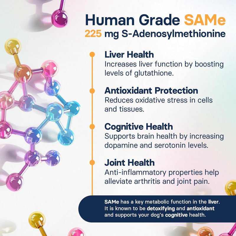 Liver Health Supplement for Medium Dogs, S-Adenosylmethionine (Same) and Silybin, Liver Tablets, Cognitive Support, 30 Tablets - BeesActive Australia