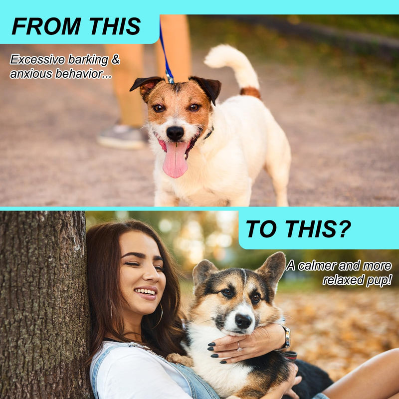 Calming Treats for Dogs, 150 Chews Hemp-Based Calming Chews for Dogs – Supports Relaxation During Separation, Barking, Fireworks & Thunderstorms – with Natural Ingredients (Peking Duck) Peking Duck