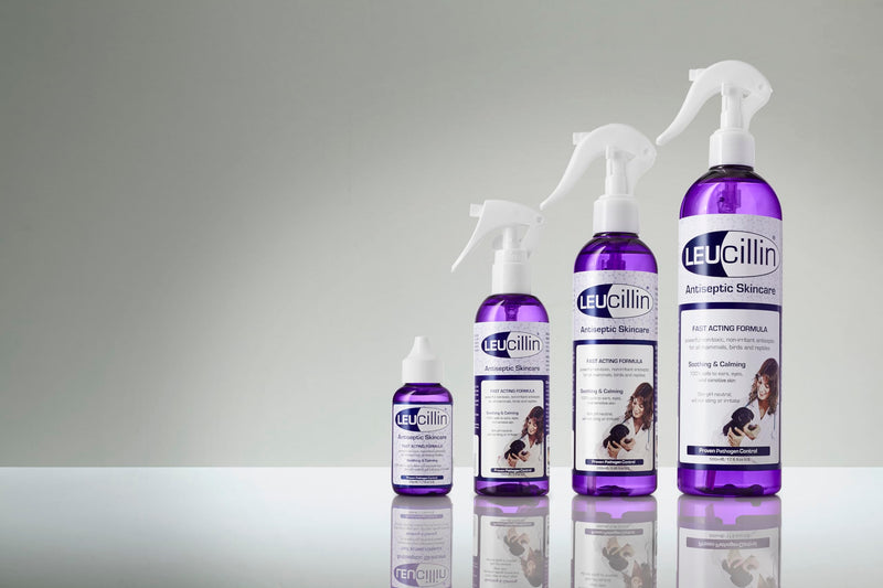 Leucillin Natural Antiseptic Spray | Antibacterial, antifungal & antiviral | for dogs, cats and all animals | for itchy skin, minor wound care and all skin care | 250ml - BeesActive Australia