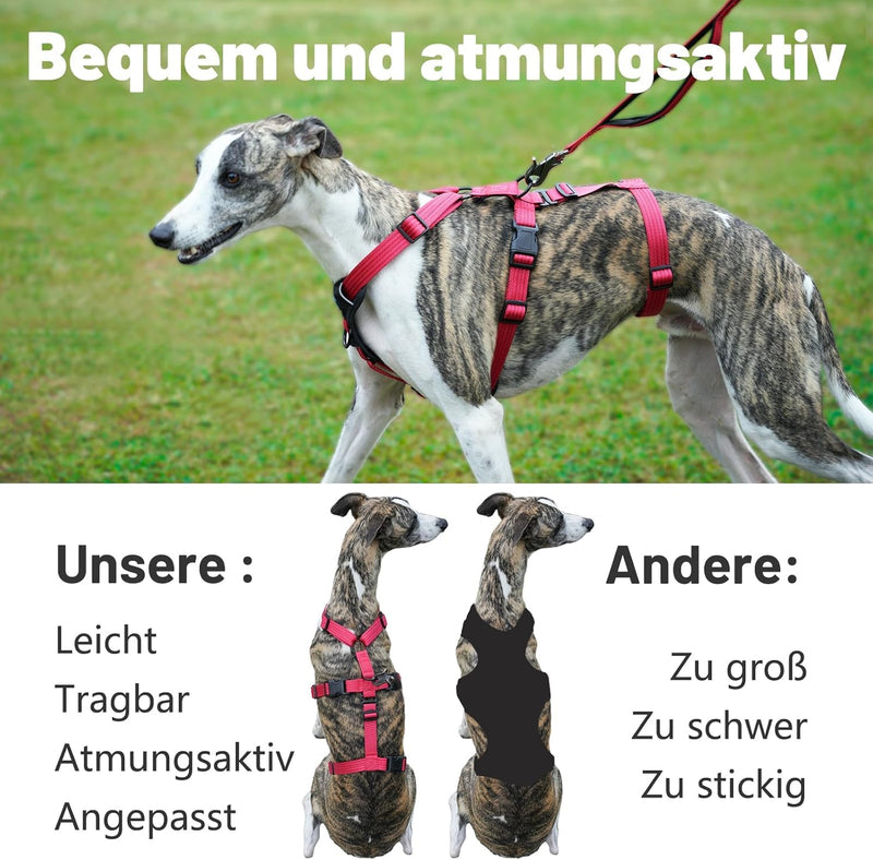 Paworld safety harness dog, anti-pull dog harness, panic harness for dogs, escape-proof harness dog, adjustable, breathable vest for small, medium and large dogs (pink red, M) medium (pack of 1) pink red - BeesActive Australia