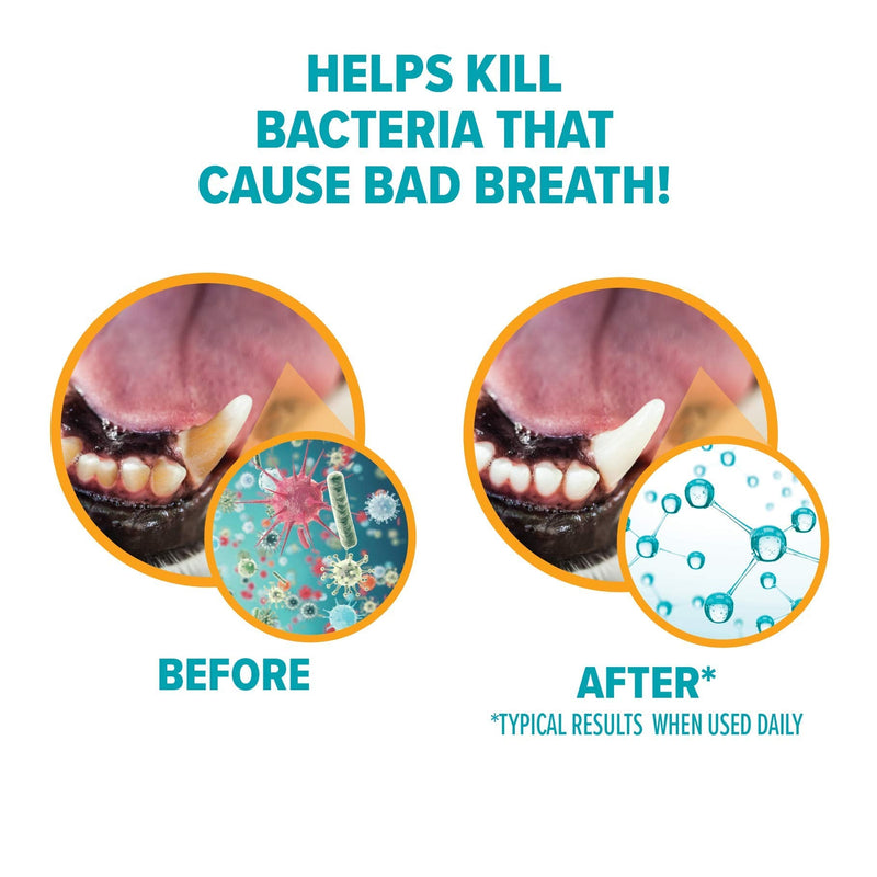 Arm & Hammer for Pets Fresh Breath Enzymatic Dog Toothpaste Vanilla Ginger Flavor Baking Soda Dental Gel Eliminates Bad Breath Safe Puppies Adult Dogs Daily Use 2.5 OZ 2 Pack Dogs and Puppies 2.5 Ounce (Pack of 2)
