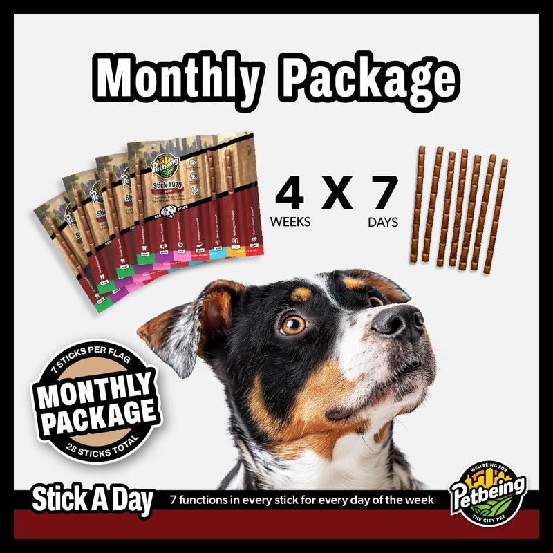 Stick a Day | Specially Formulated 7-in-1 Functions Daily Real Meat Supplement for Dogs | Dog Chew Stick & Pet Vitamins Supplements Combination (7-Pack x 4, Beef) 1 Count (Pack of 28) - PawsPlanet Australia