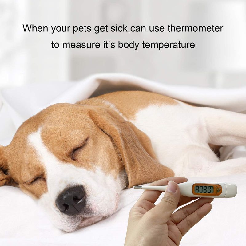 Pet First Aid Kit for Dog, Cat, Rabbit and Other Animal,with Thermometer, Syringe, Otoscope, Perfect for Home Care and Outdoor Travel Emergencies - BeesActive Australia