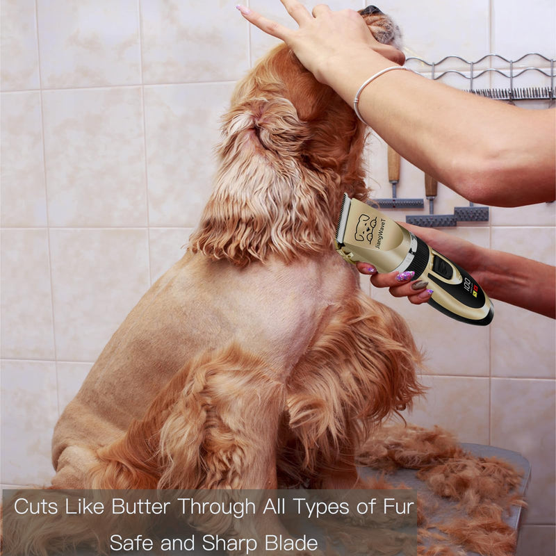 Dogs Hair Trimmer, Dogs Shaver Clippers Grooming Kit - Low Noise Cordless Rechargeable Dog & Cat Horses Clippers, Heavy Duty, Quie Gold - BeesActive Australia
