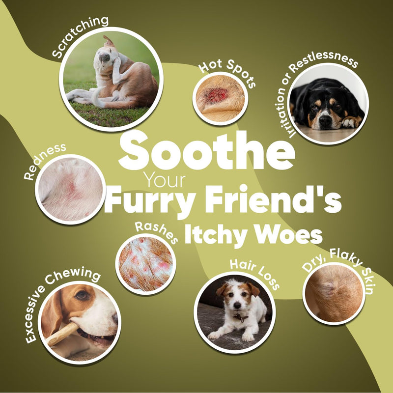 Herbal Cat and Dog Itchy Skin Relief Liquid - 250ml - Add Drops to Food/Water - Long Term Itchy Dog Skin Relief - 100% Natural Itchy Skin and Hot Spot Relief Drops for Dogs & Cats - Nourishes Skin