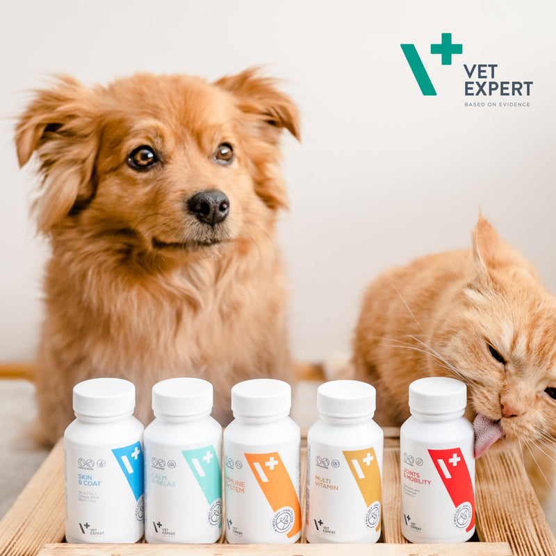 Vet Expert Multivitamin 5 in 1 Supplement for Dogs and Cats – Supports Immunity, Skin & Joints - Increases Energy, Reduces Stress and Supports Gut Health - 30 Twist & Pour Capsules