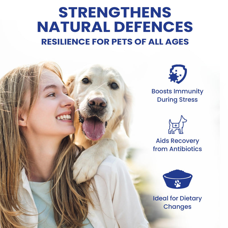 Hamiltons XL 60ml Probiotic & Prebiotic Paste for Dogs & Cats – Chicken Flavour Digestive Supplement – Supports Firm Stools, Digestive Upset & Gut Balance – Immune Support – Large Tube for All Breeds