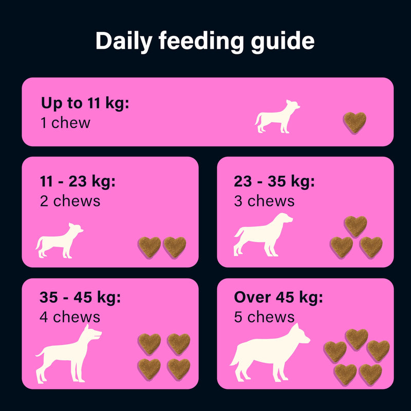 GOMUTTS All Itch and Immunity Treats for Dogs (90 Soft Chews), Anti Itch for Dogs, Help Soothe Itchy Paws, Eyes, Ears, Skin - Itching, Licking, Scratching, Daily Immune Support for All Breeds All Itch & Immunity