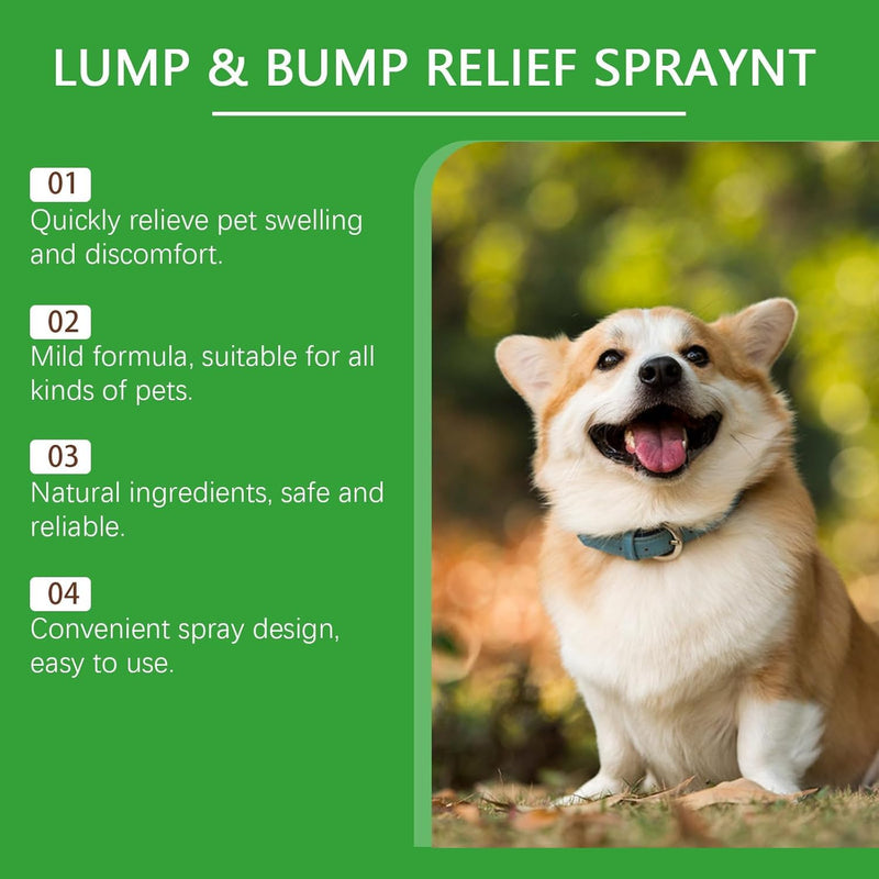 Lmoy Melcora Spray for Dogs, Nature Soothing Solution for Itchy Skin, Pet Skin Treatment Spray (2PCS)