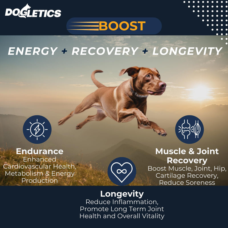 Boost Active Dog Support: Improve Energy, Endurance, Recovery & Longevity- 90ct USA Made with Real Bacon Boost