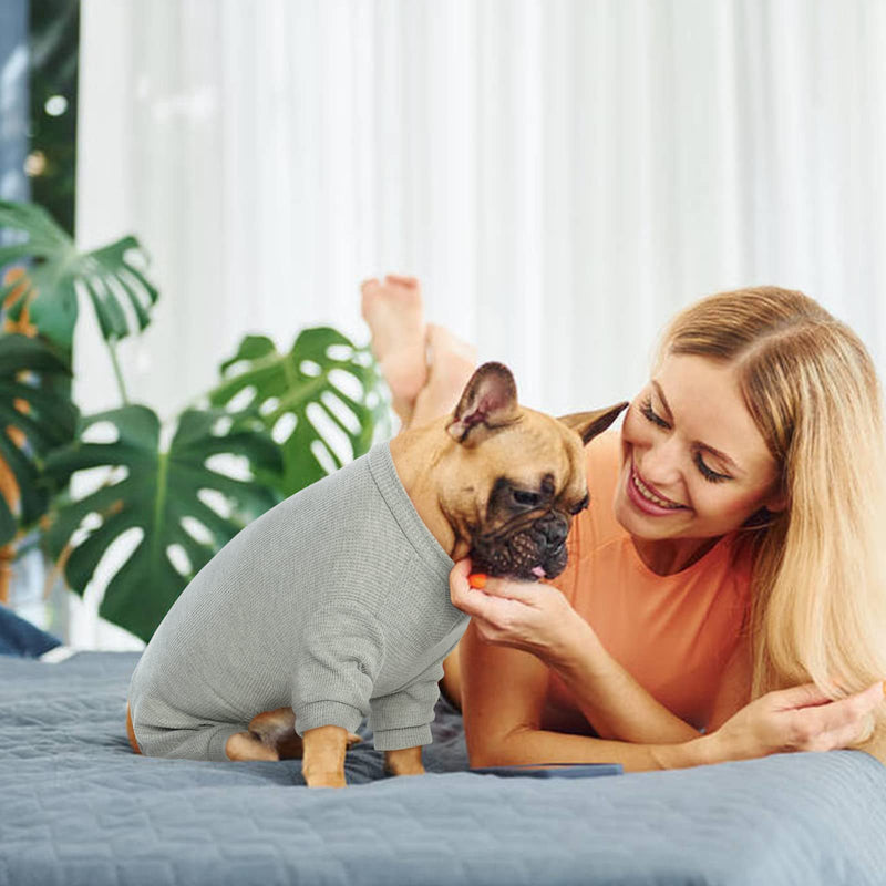 Hjumarayan dog pajamas, pajamas, dog surgery body, dog stretch body for dog after surgery with legs, dog body after castration male dog body operation bitch, gray L - BeesActive Australia