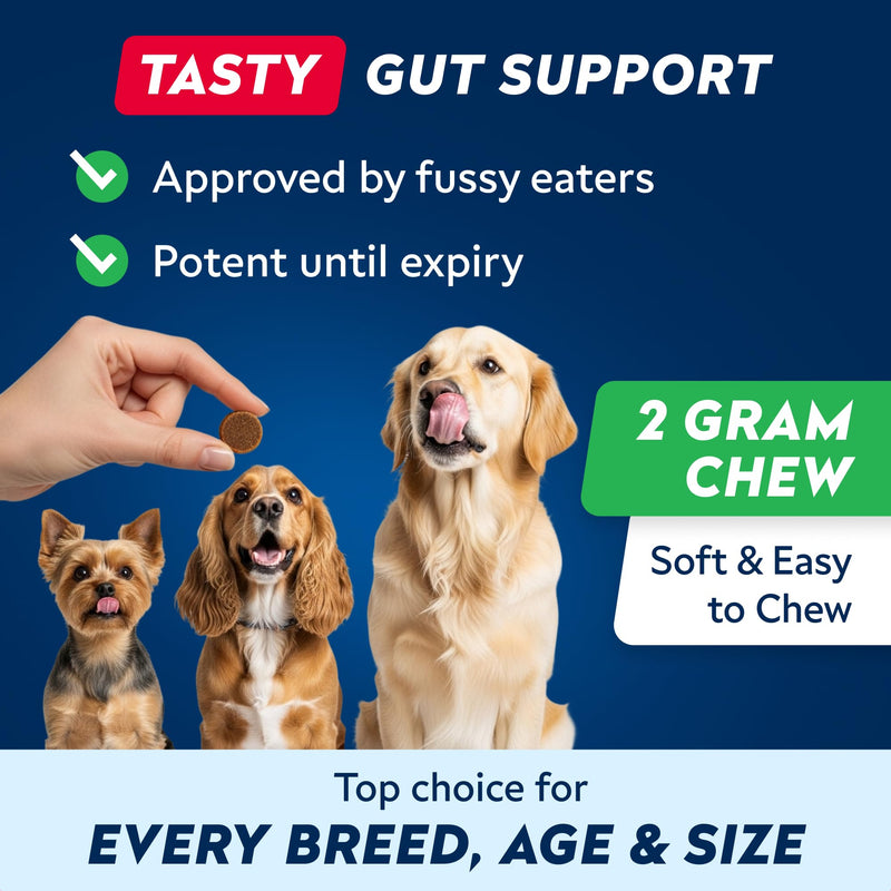 Advanced Probiotics for Dogs Gut Health with Fibre - Pre, Post & Probiotic Treats - Dogs Digestive Health Sensitive Tums Support - All Breeds & Ages - Dog Probiotics for Gut Health (180 Ct) Pork 180Ct Probiotic Chews
