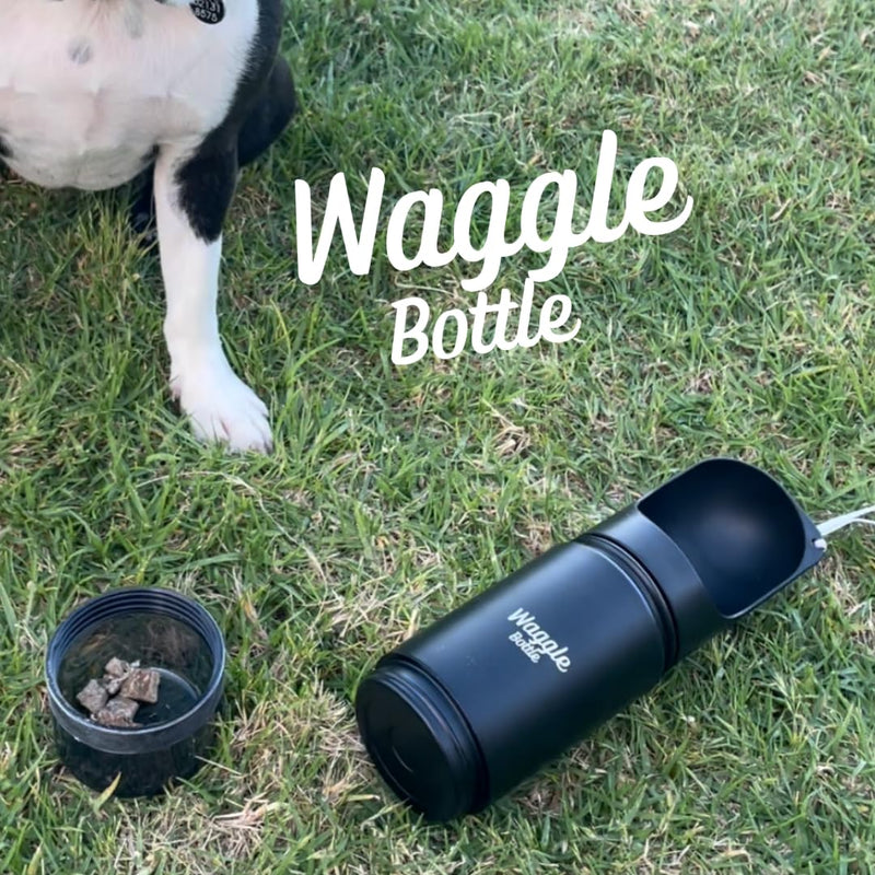 Stainless Steel Dog Travel Water Bottle, Vacuum Insulated Portable Dog Water Dispenser, Drink Cup and Snack Container On The Go, Outdoor Walking, Hiking, Travel (Mint) Mint - BeesActive Australia
