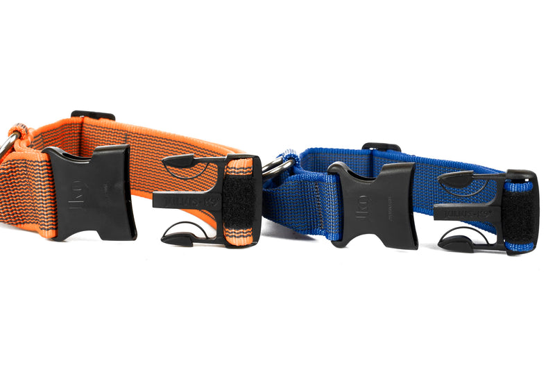 Julius-K9 Color & Gray Collar with Handle, Safety Clasp and Interchangeable Patch, 40mm (38-53cm), Orange-Grey with Handle 40mm (38-53cm) - BeesActive Australia