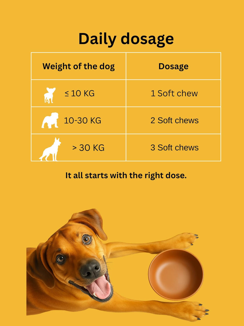 Dr. Flex Multivitamin Complex Chews for Dogs 8-in-1-100% Supports Immune System, Digestive System & Joint Health - Healthy Chews with Probiotic, Vitamin-C & E, Salmon Oil, Chondroitin - 60 Soft Chews 8 in One Complex