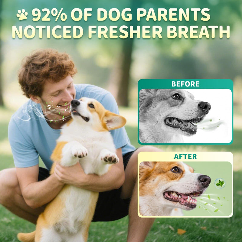 Dog Dental Powder – Teeth Cleaning Powder with 6B CFU Probiotics, Enzymes & Antioxidants, Plaque & Tartar Off, Fresh Breath Support, 75 Days, Mint Chicken Flavor, No Brushing Oral Care 5.29 Ounce (Pack of 1)