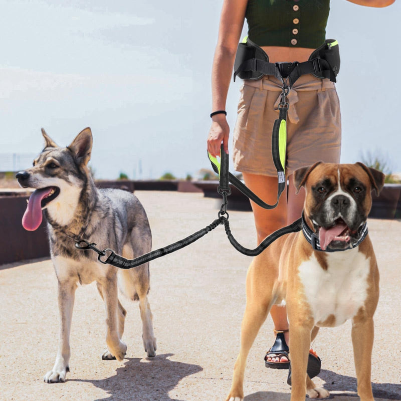 Hands Free Dog Leash for 2 Dogs, Wide Padded Waist Leash Double Dogs Leash Dog Running Leash for Dog with Reflective Stitching for Walks, Jogging, Running, Hiking, and Dog Training Black - BeesActive Australia