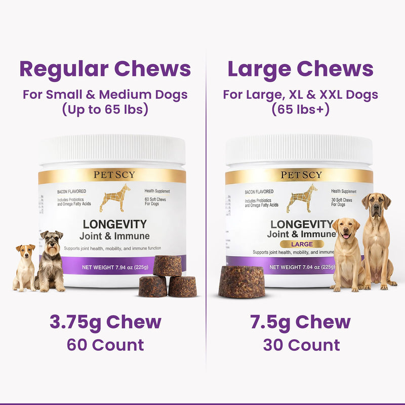 Petscy Longevity Hip & Joint + Immune Support Chews for Dogs - 3.75g Chew - High Dose Glucosamine, MSM, Chondroitin, Green Lipped Mussel, Omega 3, Probiotics - 60 Chews (Small & Medium Dogs) Small / Medium Dogs (0–64 lbs)