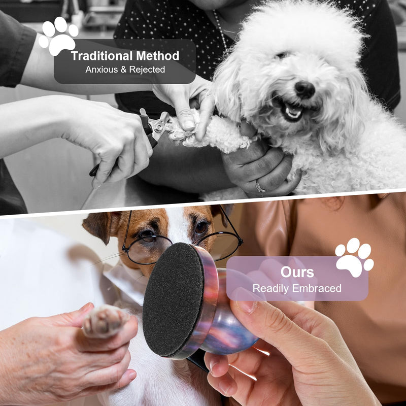 CIATBYYJ Dog Nail File with 6Pcs Replaceable Filing Disc, Dog Scratch Board for Safe and Easy Nail Care, Dog Nail Scratch Board Ensures Smooth and Healthy Nails for Dogs and Cats (Blue) Blue