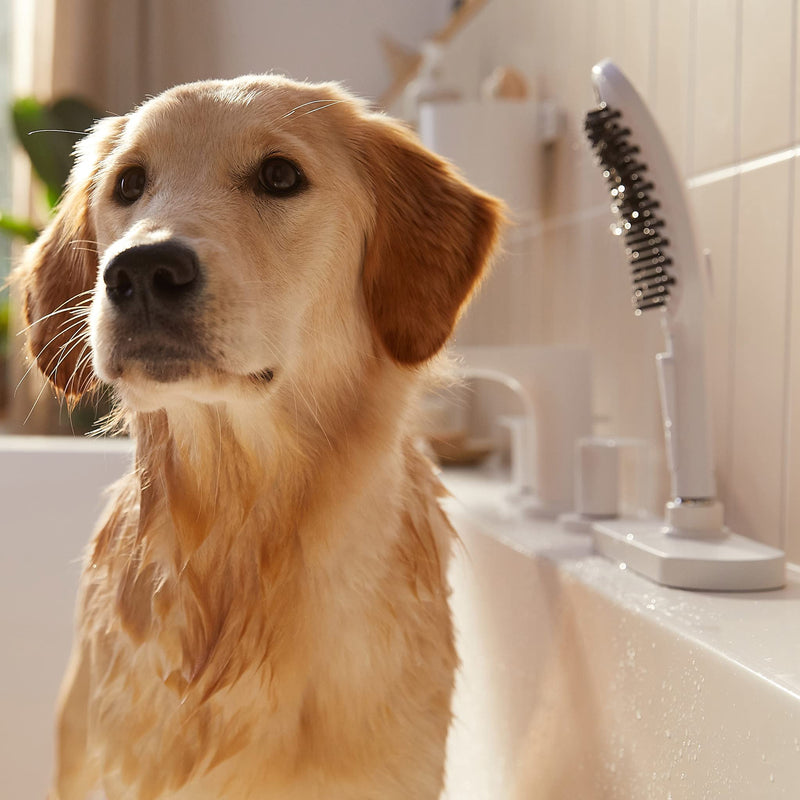 hansgrohe DogShower - dog shower with 3 jet types, shower head for dogs for grooming with petting nubs, 26640700, matt white matt white dog shower - BeesActive Australia