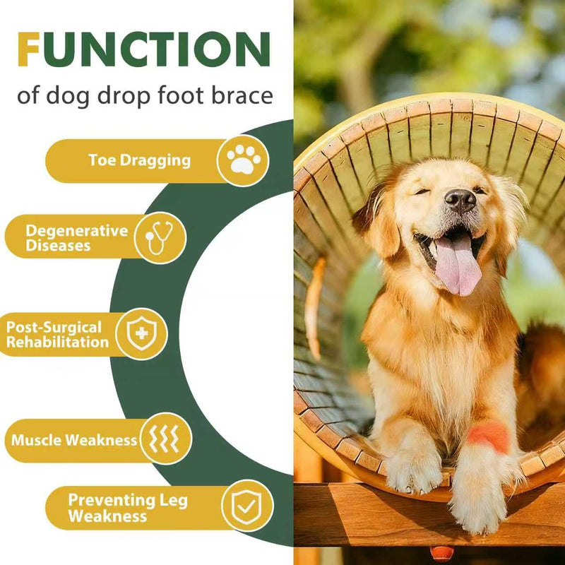 Dog Front Leg Support Brace for Foot Drop, Canine Knuckling Prevention, Toe Dragging Assistance S