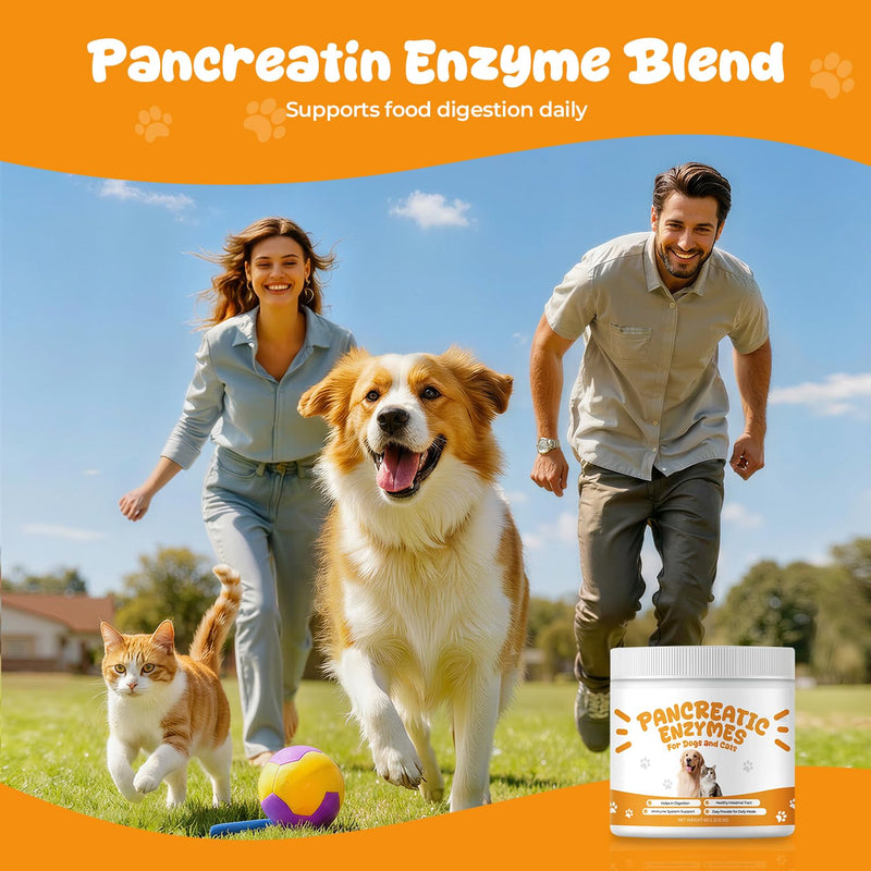 Pancreatic Enzymes for Dogs, Pancreatin Digestive Enzyme Powder for EPI Support, Porcine Pancreatin with Amylase, Protease & Lipase, Helps Maintain Digestion, Stool Consistency & Weight Balance – 2 oz