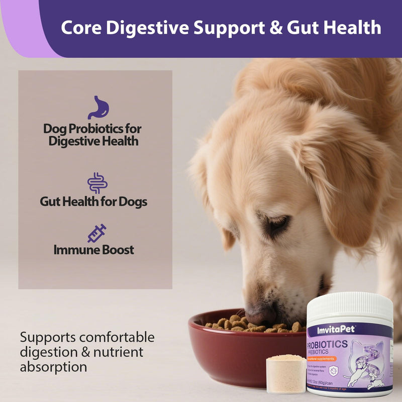 Probiotics for Dogs - Dog Probiotics Powder for Digestive Health, Gut Support, & Immune Boost – Maximum Potency with Digestive Enzymes & Prebiotics - 60Grams 1