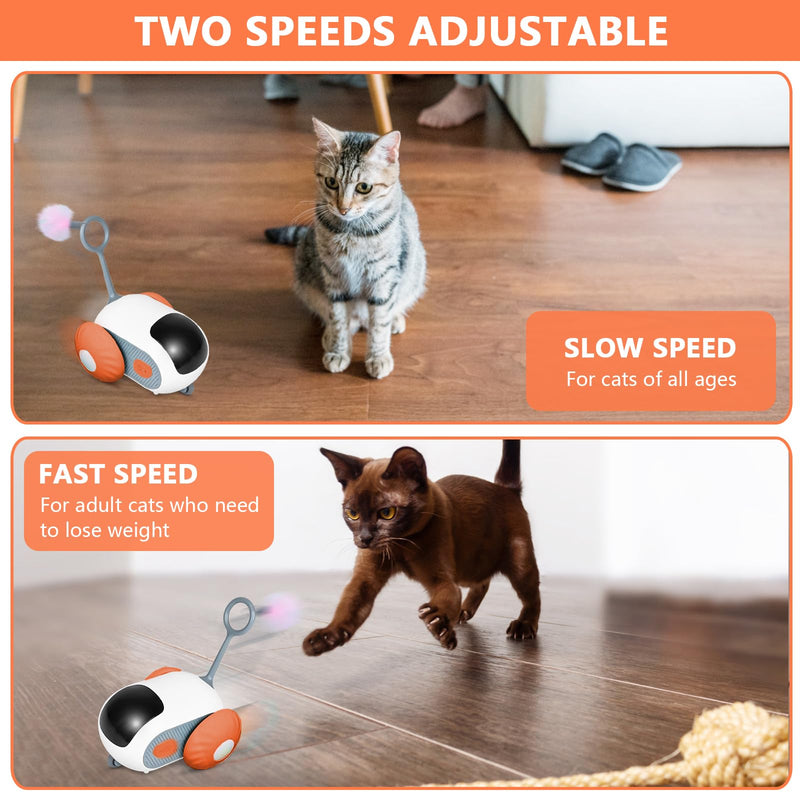 Remote Control Smart Electric Cat Toy Car, Interactive Cat Toys for Indoor Cats, Teazys Cat Toy Turbo Tail 2.0, Automatic Moving Mouse Cat Chase Toys for Bored Indoor Adult Cats Kittens (Orange) Orange - BeesActive Australia