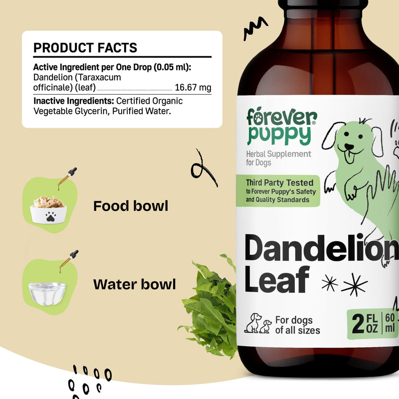 Forever Puppy Dandelion Leaf Drops for Dogs - Kidney Health Liquid Supplement for Large, Medium & Small Dogs - Kidney Cleanse Detox Drops w/Dandelion Leaves Tincture - 2 oz 2 fl oz
