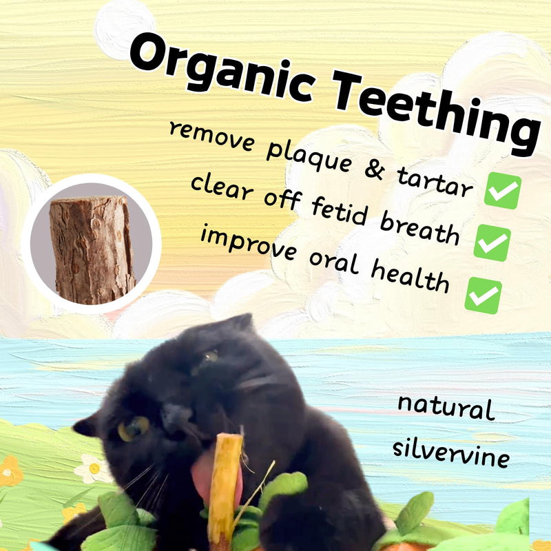 Carrot Catnip Cat Toys, Interactive Feather Cat Toys for Indoor Cats, Cat Puzzle Toys for Boredom and Mental Stimulation, 12 Squeaky Carrots with Treat Pockets and 12 Catnip Tea Bags Carrot Puzzle + Catnip - BeesActive Australia