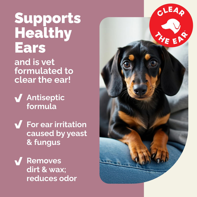 Vetnique Oticbliss Dog Ear Infection Treatment Flush & Ear Cleaner for Dogs & Cats, Antiseptic Antifungal with 0.2% Chlorhexidine and 0.2% Ketoconazole, Medicated Wash for Yeasty Smell, Floppy Ears 6oz Flush