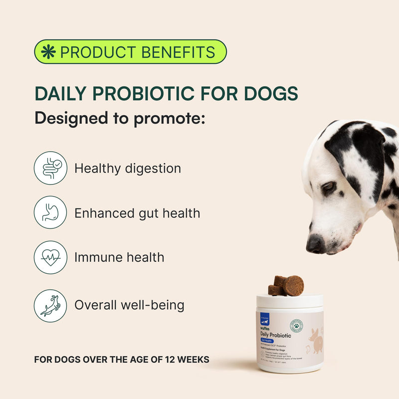 Wuffes Daily Probiotic for Dogs - Supports Digestive Health, Gut Balance, and Immune System - with Prebiotics, Marshmallow Root, and Pumpkin Powder - 60 Soft Chews - BeesActive Australia
