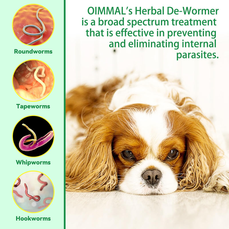 Dog Deworming Liquid, Natural Herbal Deworming Drops for Dogs, 100% Natural, Promotes Intestinal Health and Hygiene, Improves Digestion, Strengthens Immunity 60Ml - BeesActive Australia