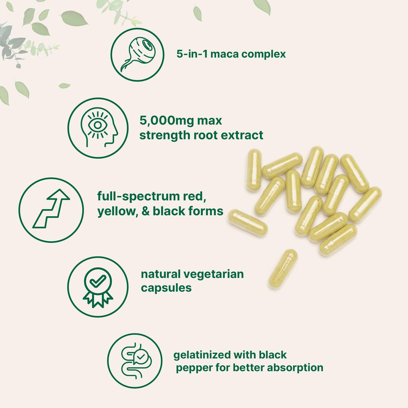 Maca Root Capsules for Women & Men 5,000mg | 240 Veggie Capsules with Ashwagandha, Red, Black, Yellow Maca Root, Panax Ginseng, Tongkat Ali & Black Pepper | Support Energy, Mood & Hormone Balance
