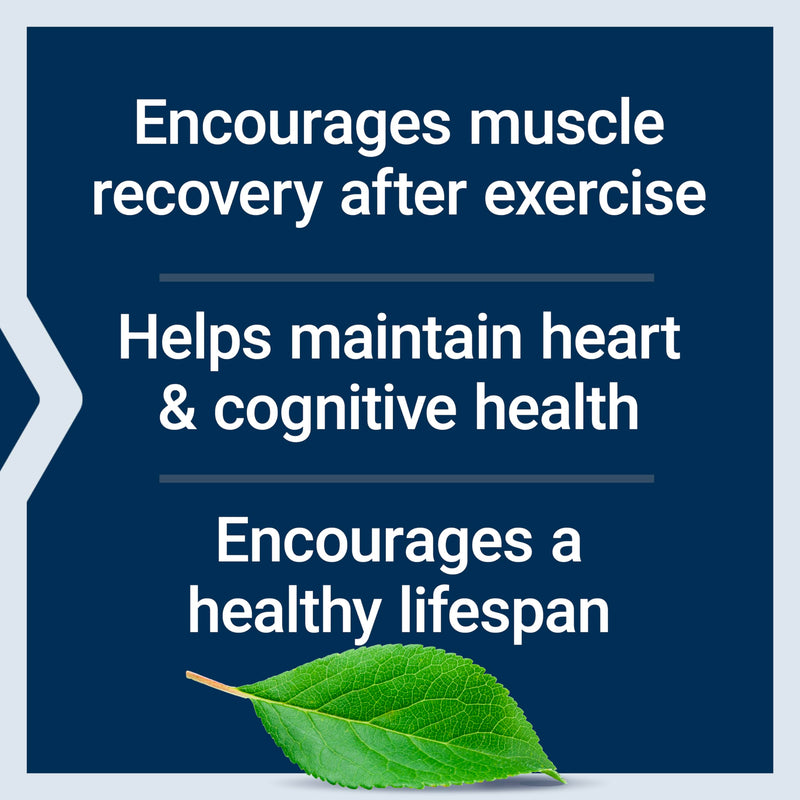 Life Extension Taurine, Pure Taurine Amino Acid Supplement, Heart, Liver and Brain Health, Longevity, Muscle and Exercise, 1000 mg dose, Non-GMO, Gluten-Free, Vegetarian, 90 Vegetarian Capsules 90 Count (Pack of 1)