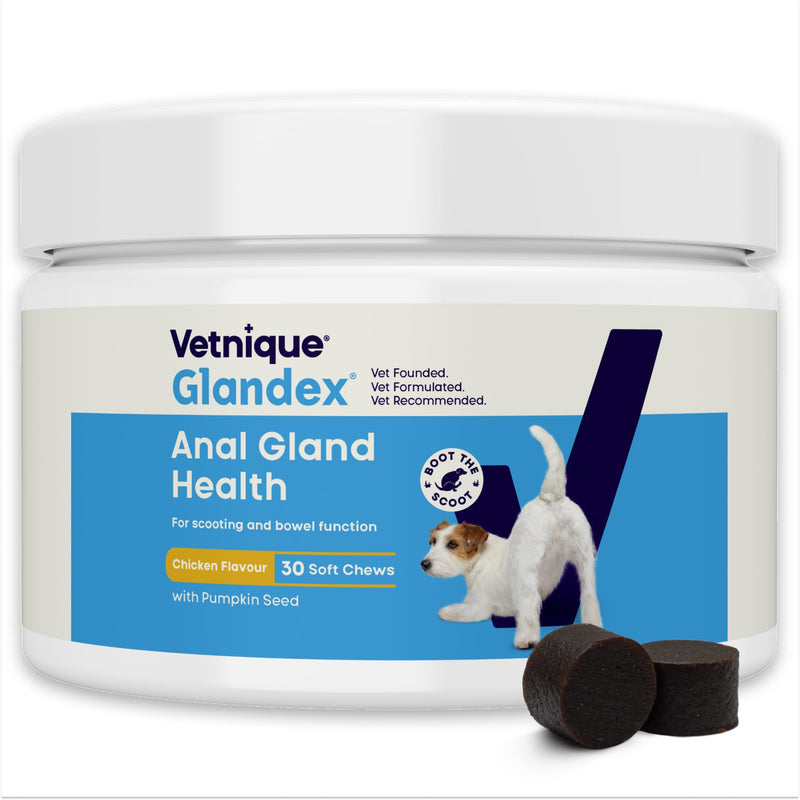 Glandex For Dogs UK - 30 Soft Chews - Vet-Formulated Anal Gland Support for Digestive Health - With Probiotics for Dogs, Omega-3s, Pumpkin & Fibre - Dog Probiotics for Gut Health - Boot The Scoot Chicken