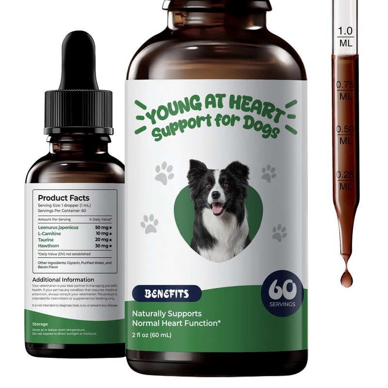 Young Heart for Dogs – Senior Cardiovascular Support Liquid with Hawthorn, Taurine & L-Carnitine, Easy-to-Serve Drops, 2 fl oz (60 mL)