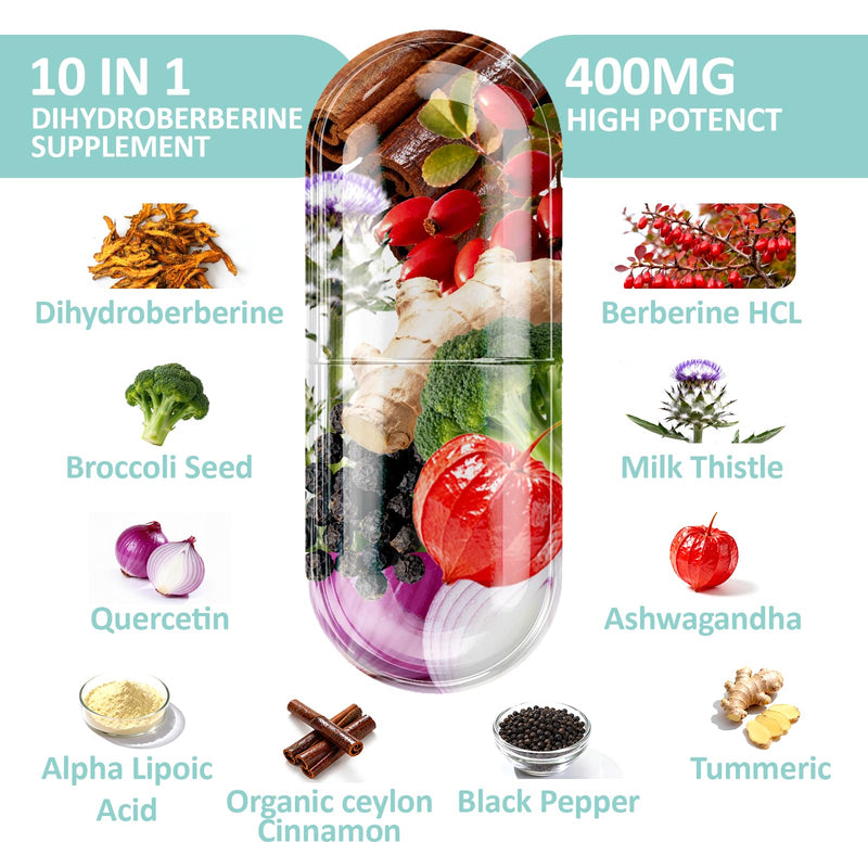 Dihydroberberine Supplement HCl 750mg – Enhanced Absorption Complex with Ceylon Cinnamon, Bitter Melon, R‑ALA, Milk Thistle – Supports Metabolism, Heart & Immune Health – 120 Capsules