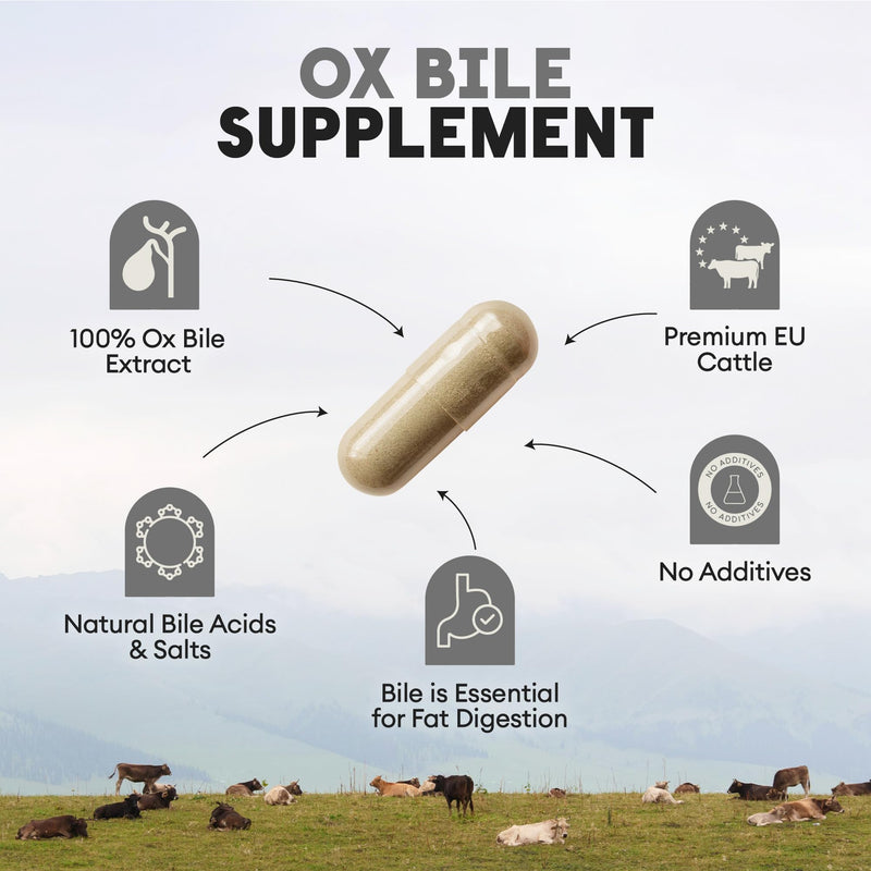 Nutriest Ox Bile Salts (60 Capsules) – Ox Bile 500 mg | Bovine Bile Salts from Europe | Supports Normal Fat Digestion