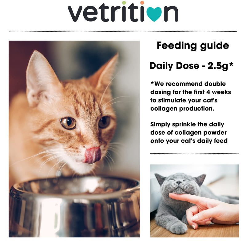 Everyday Collagen for Cats - Bioactive Cat Supplement for Hip & Joint Care - Easily Digestible Vet-Trusted Cat Collagen Powder for Mobility & Skin Health (75g Powder)